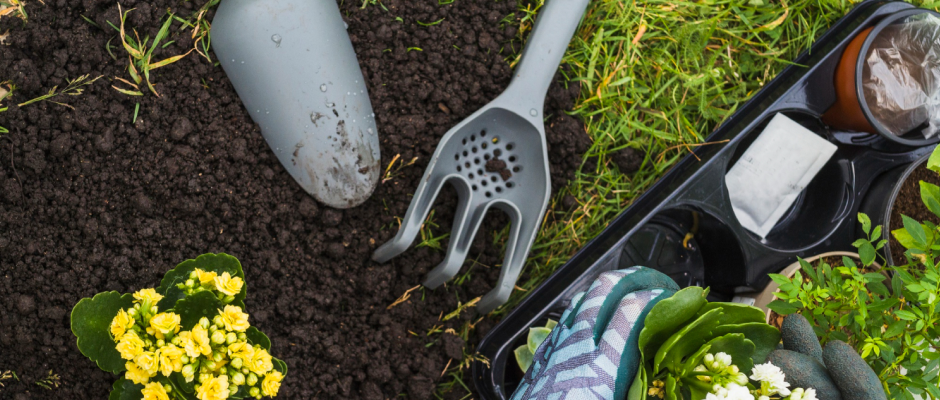 interesting-timeline